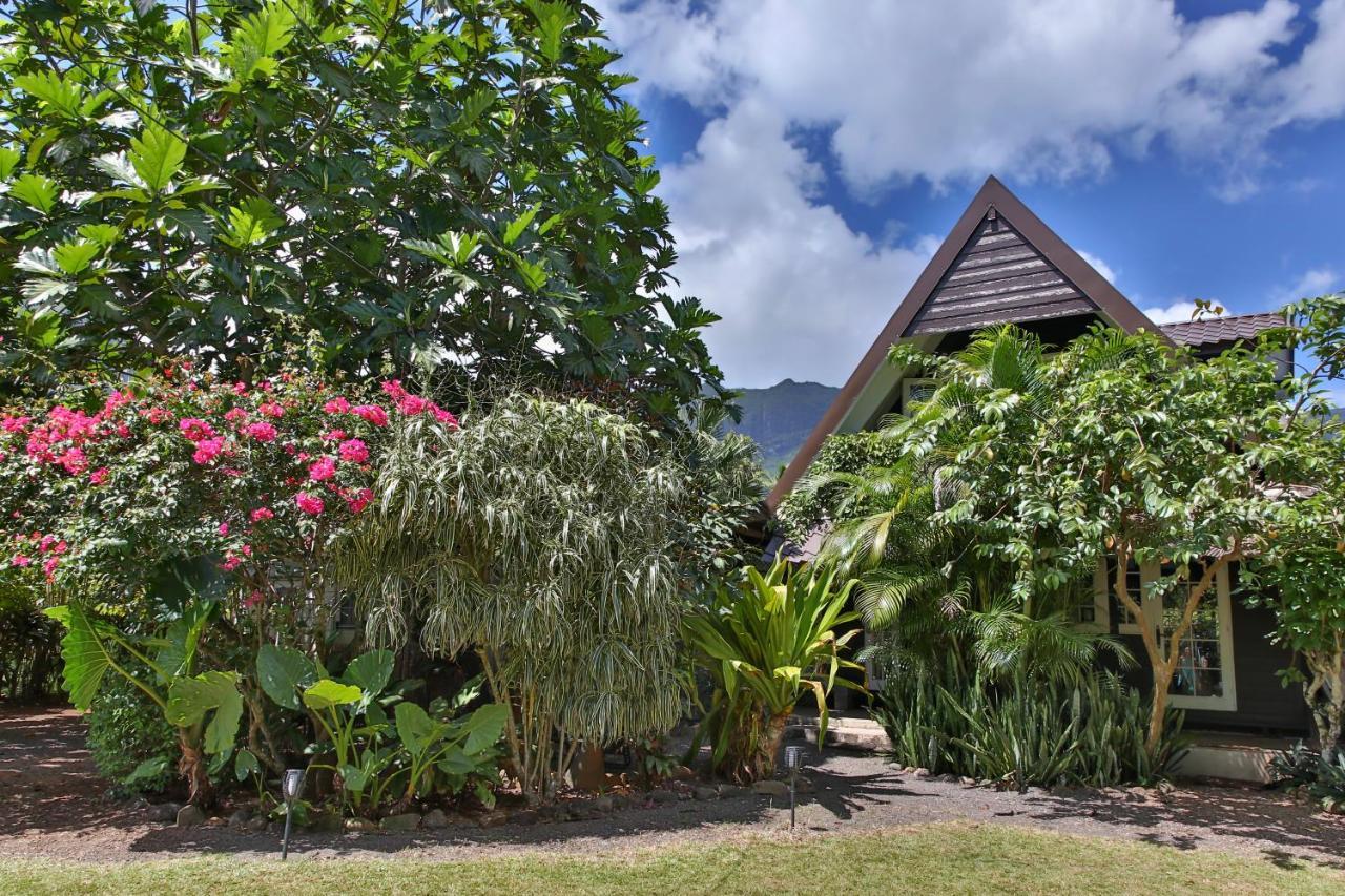 Fare Haurevaiti Moorea Paopao Exteriör bild