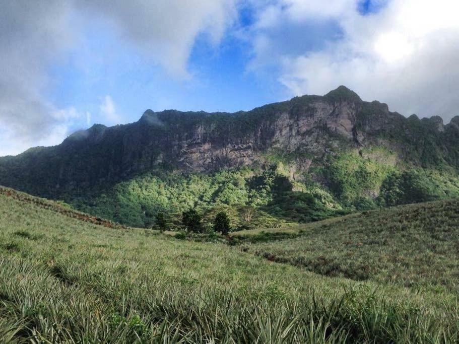 Fare Haurevaiti Moorea Paopao Exteriör bild