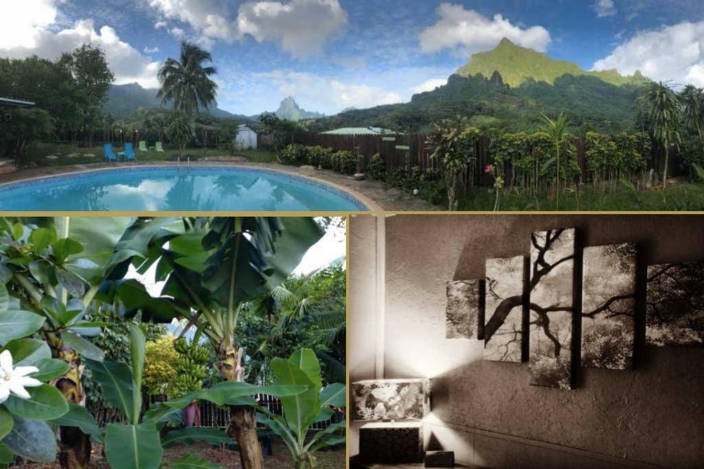 Fare Haurevaiti Moorea Paopao Exteriör bild