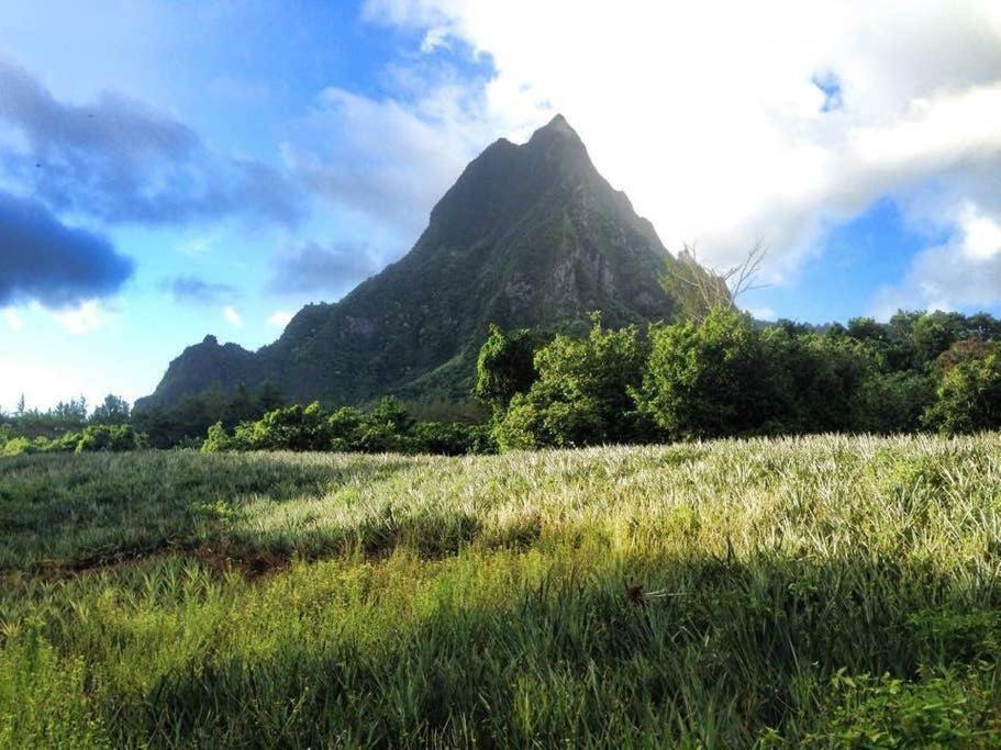 Fare Haurevaiti Moorea Paopao Exteriör bild