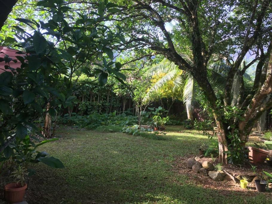 Fare Haurevaiti Moorea Paopao Exteriör bild