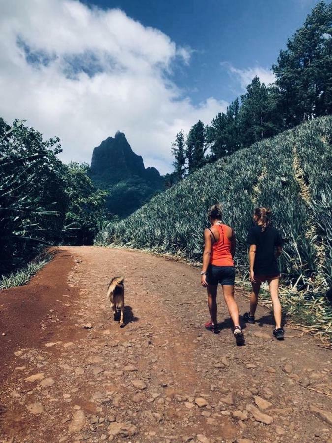 Fare Haurevaiti Moorea Paopao Exteriör bild